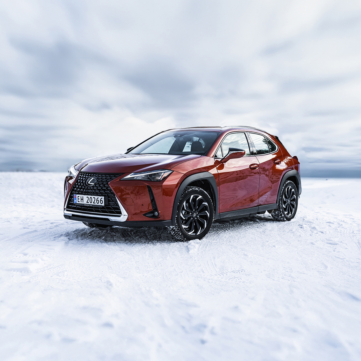 lexus ux 300e